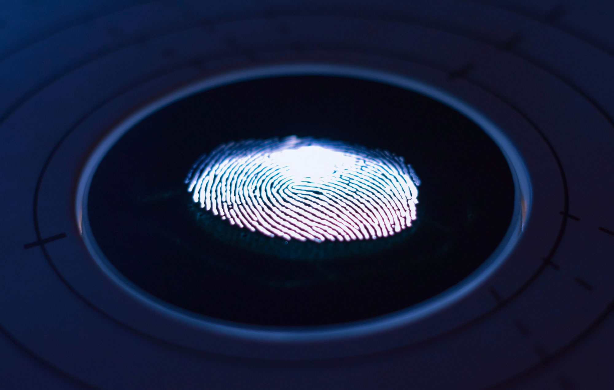Identity & Intent: The Dual Roles of Biometrics and Behavioral Analysis in Your Fraud Stack